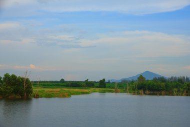 Hazır Fotoğraf - marsh yatay, bulutlar