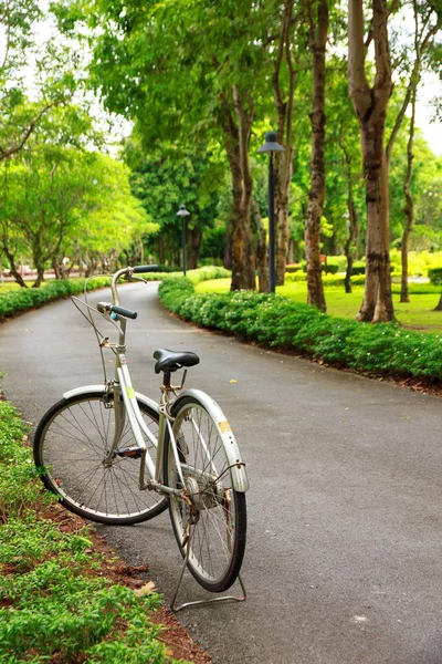Foto de Stock - Bicicletas en el parque para la liberación — Foto de Stock