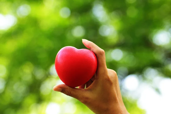 Stock Photo - Heart in hands on nature background — Stock Photo, Image