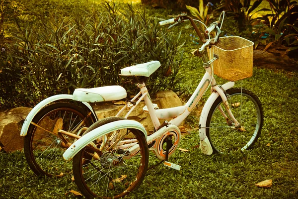Bicicletas velhas — Fotografia de Stock