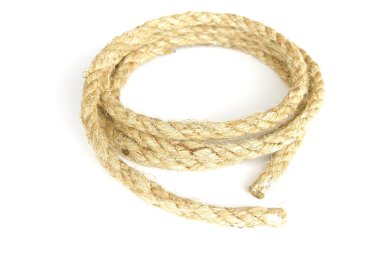 Hazır Fotoğraf - beyaz arka plan üzerinde izole ip