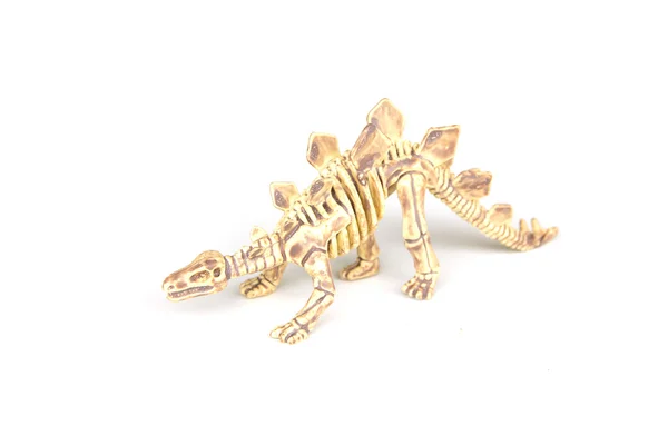 Stock Photo - Dinosaur skeleton isolated on a white background — Stock Photo, Image