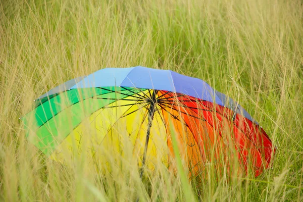 Stock Photo - Colorful umbrella on the field — Stock Photo, Image