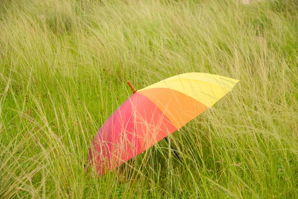 Stock Photo - Colorful umbrella on the field — Stock Photo, Image