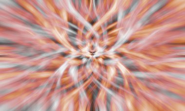 Hazır Fotoğraf - şekli oval bilgisayar grafikleri çerçevede 