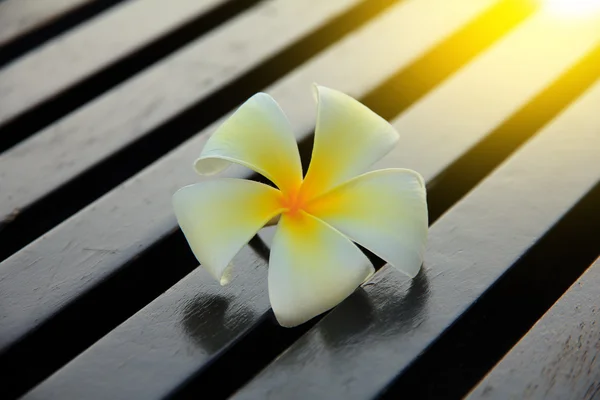 Foto de stock - Una plomería blanca en el suelo de madera rústica — Foto de Stock