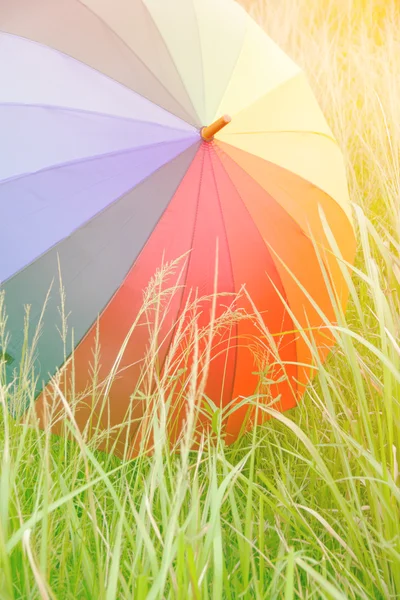 Stock Photo - Colorful umbrella on the field — Stock Photo, Image