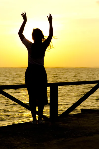 Foto stock Foto stock: Perfil de uma mulher silhueta assistindo sol na praia ao pôr do sol — Fotografia de Stock