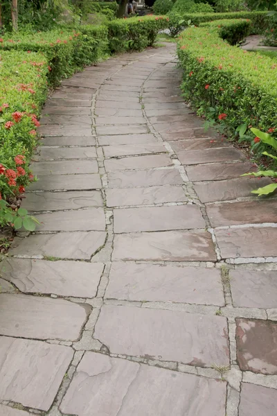 Каменная дорожка в саду — стоковое фото