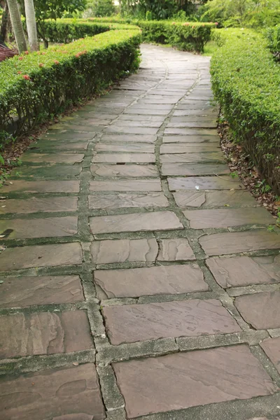 庭でストック写真石の通路 — ストック写真