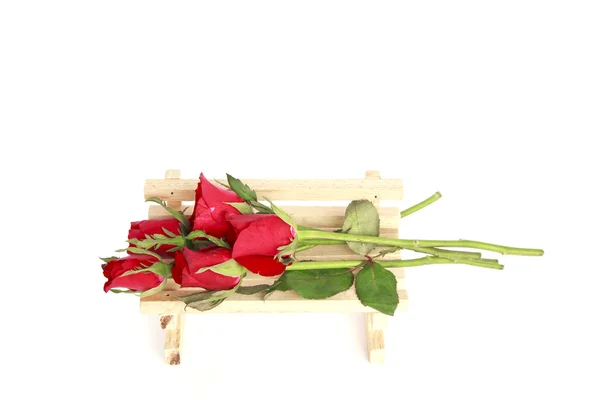 Foto stock rose rosse in vaso isolate su sfondo bianco — Foto Stock