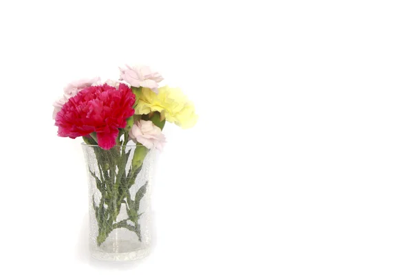 Pień fotografia wazon świeżych kwiatów Goździk nadal życia — Zdjęcie stockowe