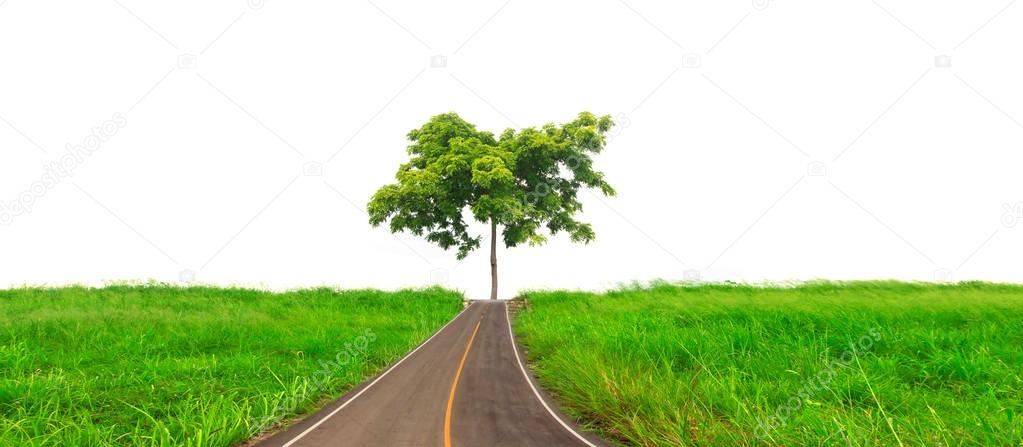 road moving towards to forest and beautiful fresh green meadow and  tree isolated on pure white