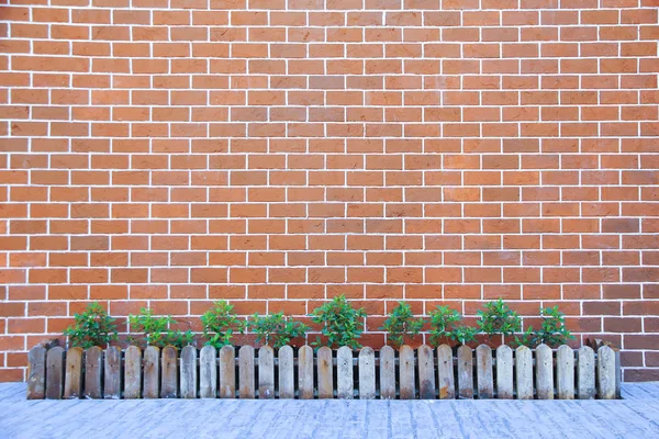 Stock Photo: decorative plant on vintage style decorative brown — Stock Photo, Image