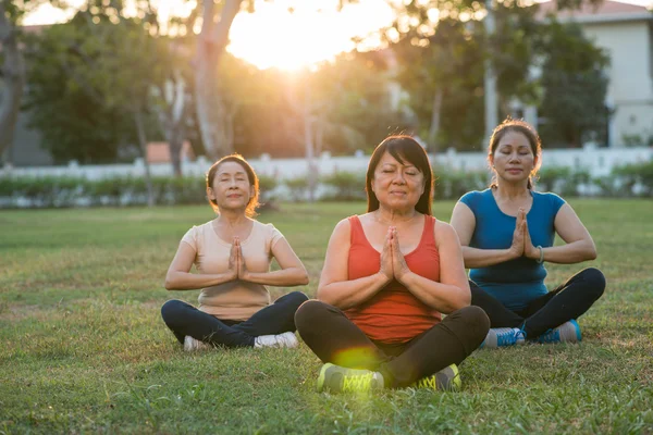 Donne che eseguono asana — Foto Stock