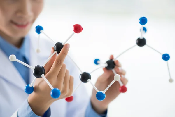 Chemiker untersucht molekulares Modell — Stockfoto