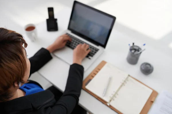 Frau arbeitet am Laptop — Stockfoto