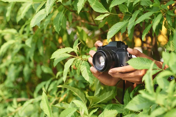 Sacando fotos de los arbustos — Foto de Stock