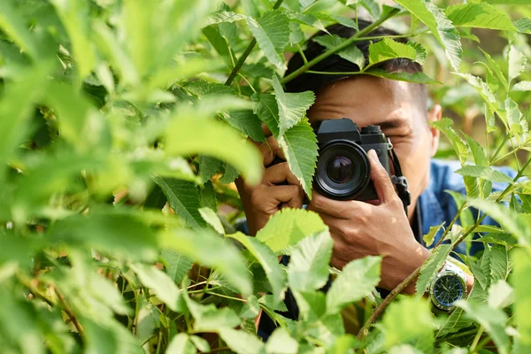 Fotógrafo de naturaleza en bosque — Foto de Stock