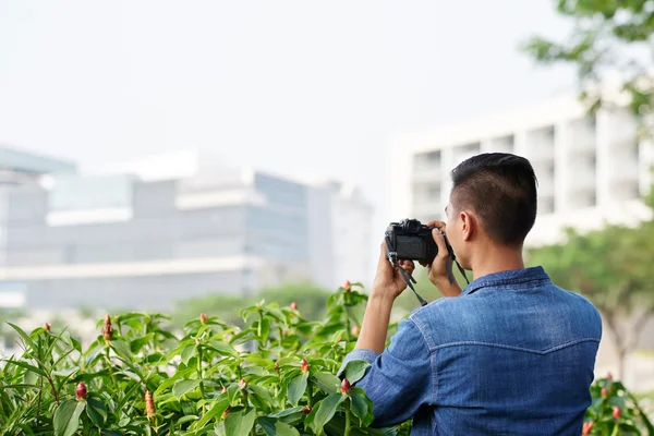 Uomo fotografare le piante — Foto Stock