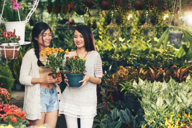 Vietnamlı kadınları tencere holding