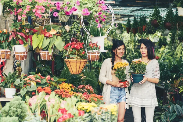 Vrouwelijke eigenaren van orrangery met bloemen — Stockfoto