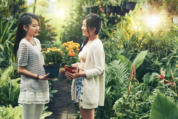 Asiatische Frauen wählen Blumen in der Orangerie — Stockfoto