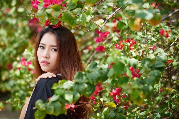 Asiatisk tjej poserar nära trädet — Stockfoto
