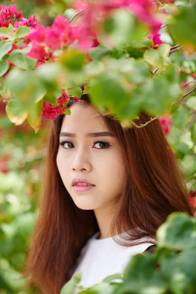 Morena asiática con árbol de flores —  Fotos de Stock