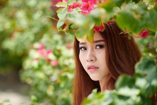 Female face behind branch of tree — Stock Photo, Image