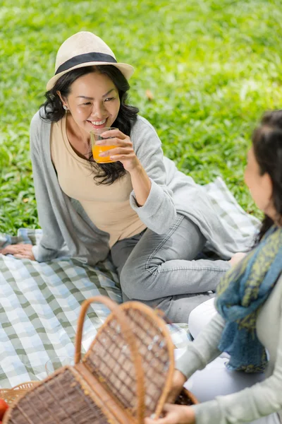 Maduras mujeres teniendo picnic — Foto de Stock