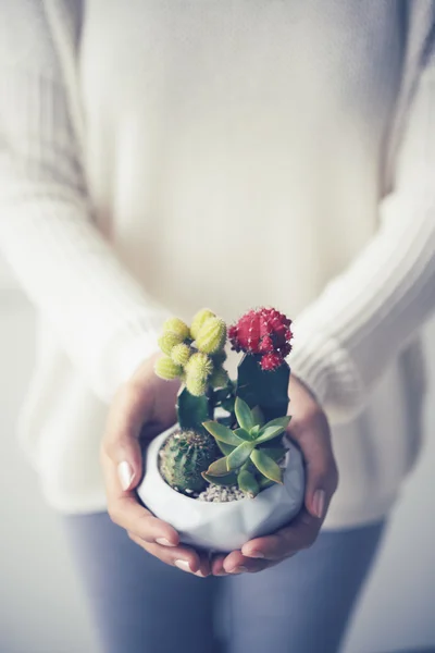 Mulher segurando vaso de flores — Fotografia de Stock