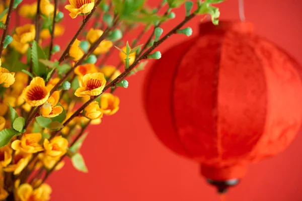 黄色の開花アプリコットの枝と旧正月のための大きな赤い提灯 選択的な焦点 — ストック写真
