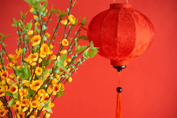 Florecientes Ramas Albaricoque Linterna Papel Rojo Para Festival Tradicional Primavera —  Fotos de Stock
