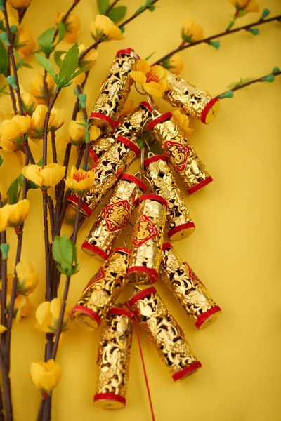 Червоні Золоті Феєрверки Квітучі Гілки Абрикоса Традиційною Прикрасою Китайського Нового — стокове фото