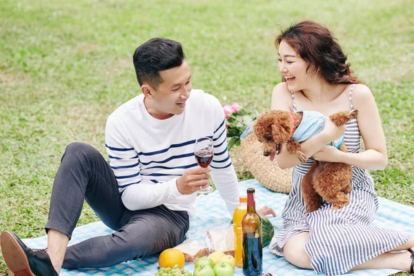 Jovem Casal Desfrutando Piquenique Parque Beber Vinho Brincar Com Cão — Fotografia de Stock