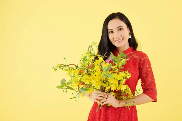 Attraktive Junge Asiatin Traditionellem Roten Kleid Posiert Mit Aprikosenzweigen Die — Stockfoto