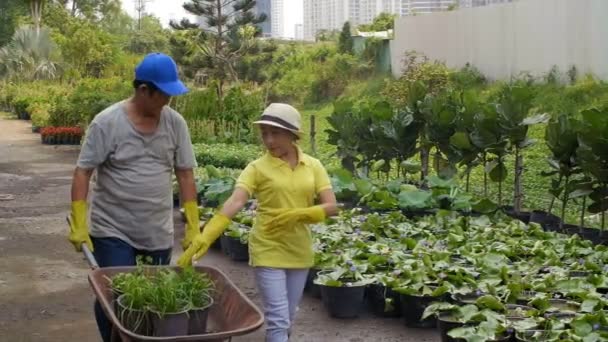 Азійські Літні Чоловіки Жінки Ходять Саду Розмовляють Людина Носить Тачку — стокове відео