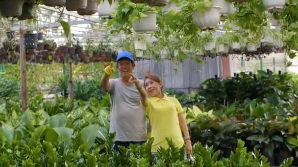 Sledování Vlevo Asiatů Důchodu Kteří Stojí Spolu Zahradě Ukazují Ukazováčky — Stock video