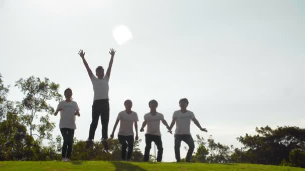 几位亚洲志愿者站在草坪上高举双臂跳起来的全景照片 — 图库视频影像