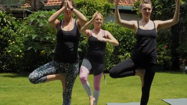 Deux Jeunes Femmes Pratiquant Pose Arbre Avec Instructeur Yoga Tout — Video