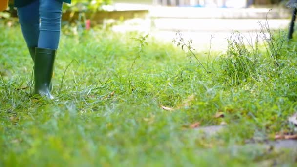 Jardinier Féminin Méconnaissable Portant Des Bottes Caoutchouc Vert Déplaçant Sur — Video