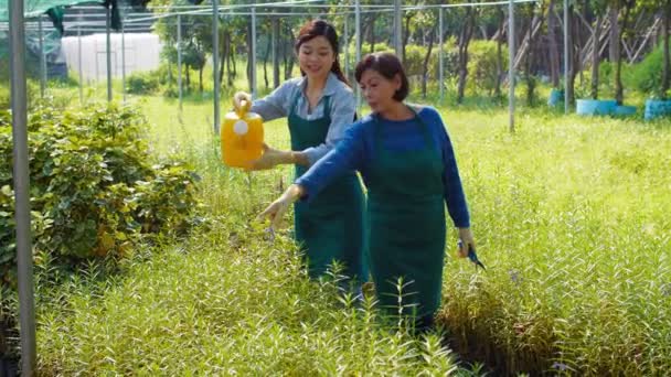 Mature Asian Female Gardener Her Young Beautiful Daughter Wearing Aprons — Stock Video