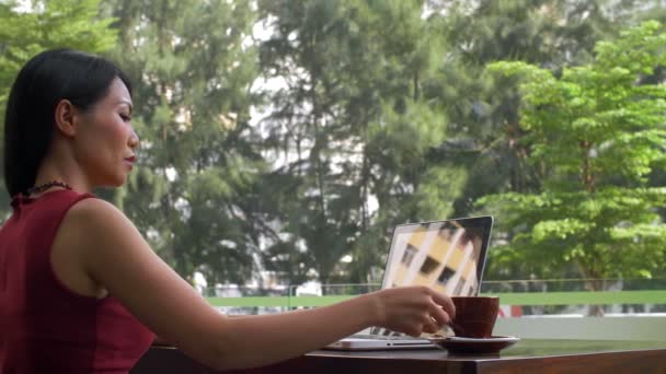 Medium Shot Middle Aged Asian Businesswoman Sitting Caf Coffee Break — Stock Video