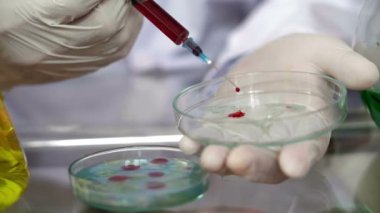 LB agar ortamına şırınga ile pipetleme hücre kültür örnekleri ve serum kapatın