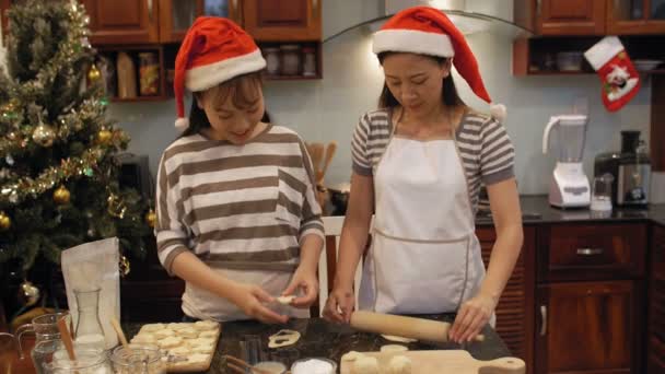 Attractive Asian Woman Her Pretty Daughter Wearing Red Santa Hats — Stock Video