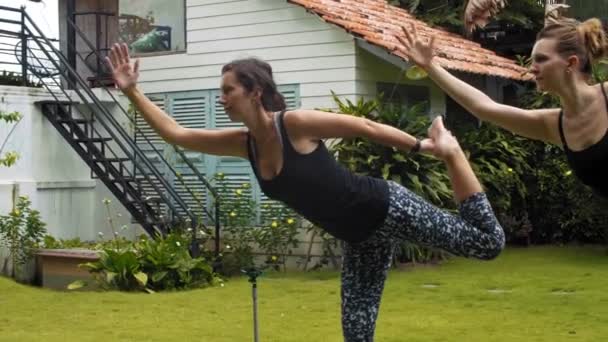 緑の芝生の上でヨガクラスを屋外で持っている間 若いフィット女性のグループは ダンスポーズのロードを練習します — ストック動画