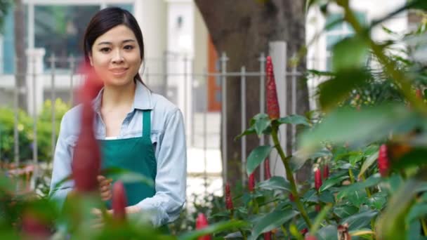 Fiatal Csinos Ázsiai Kötényben Áll Kertben Gyönyörű Costus Virágokkal Keresztbe — Stock videók