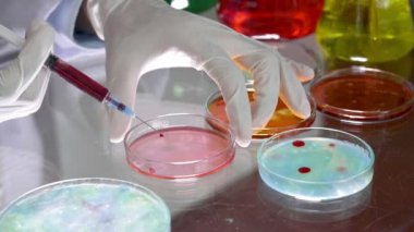 Eldivenle ellerinizi kapatın. Bakterileri petri kabına yerleştirin. Şırıngayla.