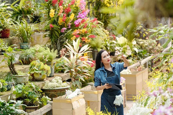 美しい女性保育園の庭の労働者は デジタルタブレットで歩き回り 植物の品質をチェックします — ストック写真